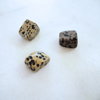 Dalmatian Jasper